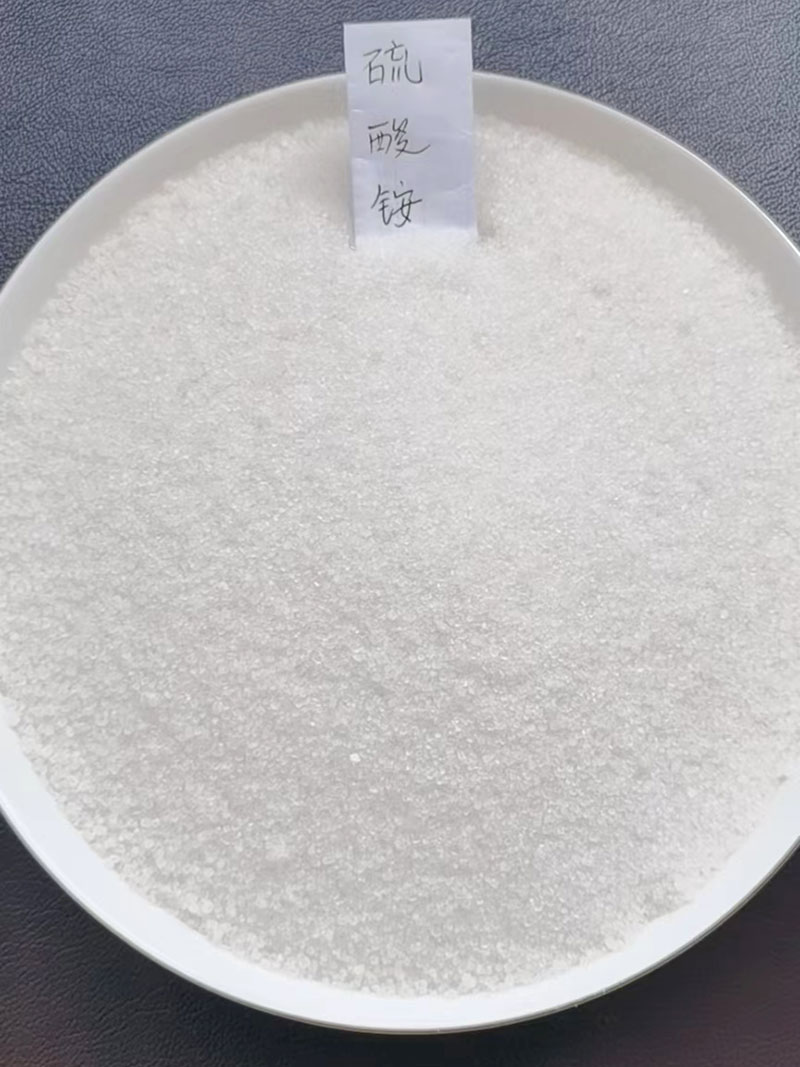 亚香蕉三级视频